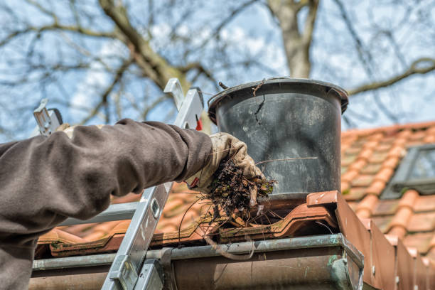 Gutter Cleaning and Maintenance Services Near You